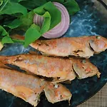 Lavinya Göltürkbükü