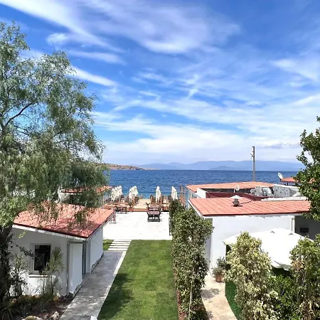 Lavinya 3*