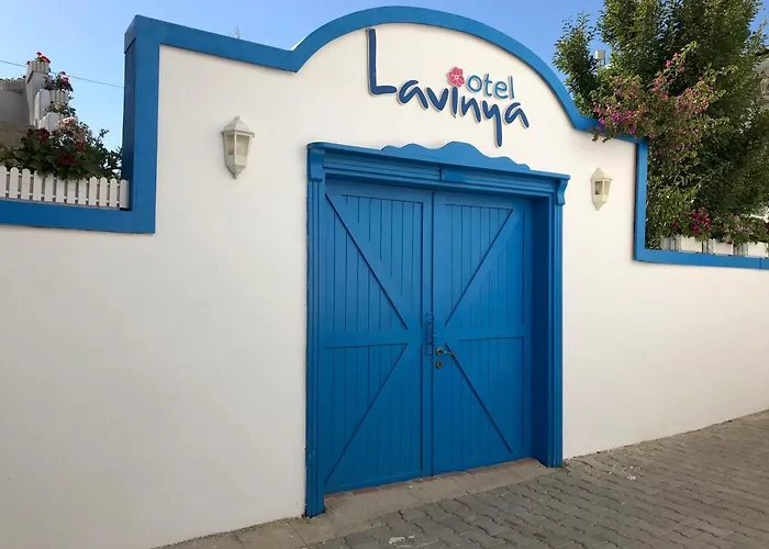 Lavinya